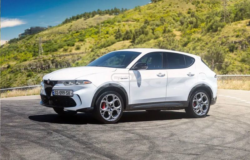 Big with watermark alfa romeo stelvio taraz georgiyev 6127