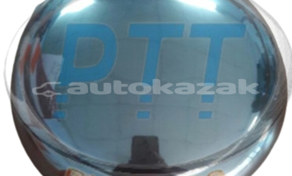 Borgward Hubcap 