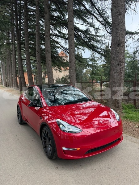 Big with watermark tesla model x taraz georgiyev 6167