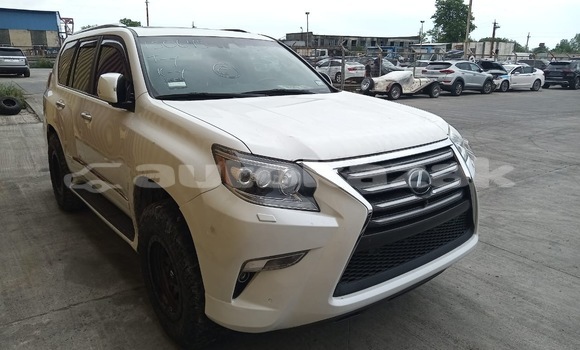 Buy Used Lexus GX White Car in Georgiyev in Taraz Buy Used Lexus GX White Car in Georgiyev in Taraz