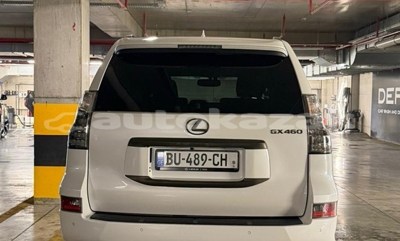 Buy Used Lexus GX White Car in Georgiyev in Taraz Buy Used Lexus GX White Car in Georgiyev in Taraz