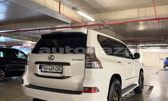 Buy Used Lexus GX White Car in Georgiyev in Taraz Buy Used Lexus GX White Car in Georgiyev in Taraz