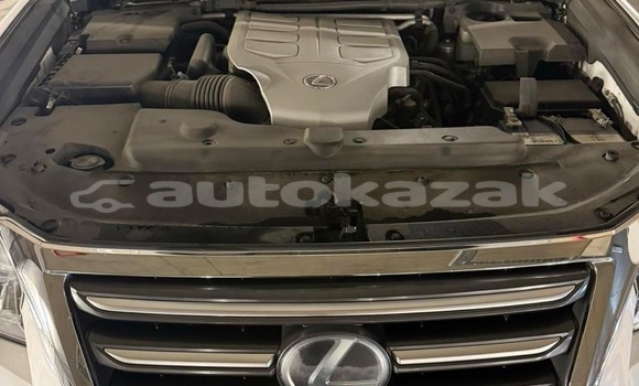 Buy Used Lexus GX White Car in Georgiyev in Taraz Buy Used Lexus GX White Car in Georgiyev in Taraz