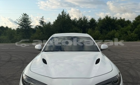 Buy Used Alfa Romeo Giulia White Car in Georgiyev in Taraz