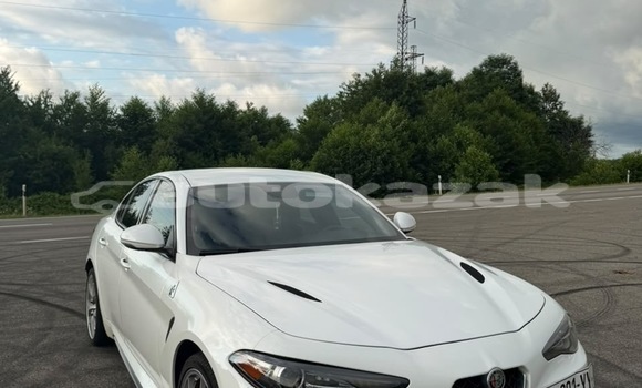 Buy Used Alfa Romeo Giulia White Car in Georgiyev in Taraz Buy Used Alfa Romeo Giulia White Car in Georgiyev in Taraz