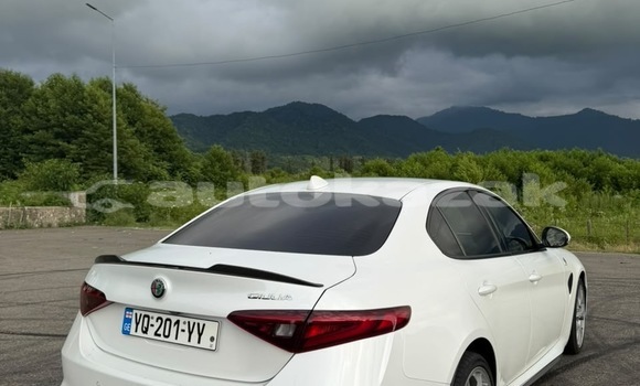 Buy Used Alfa Romeo Giulia White Car in Georgiyev in Taraz Buy Used Alfa Romeo Giulia White Car in Georgiyev in Taraz