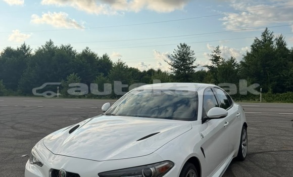 Buy Used Alfa Romeo Giulia White Car in Georgiyev in Taraz Buy Used Alfa Romeo Giulia White Car in Georgiyev in Taraz
