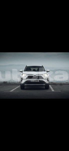 Big with watermark toyota rav4 taraz georgiyev 6204