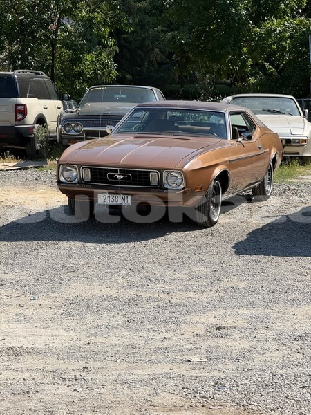 Big with watermark ford mustang taraz georgiyev 6215