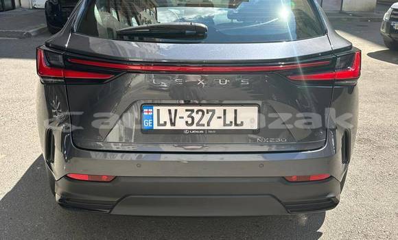 Buy Used Lexus NX Silver Car in Georgiyev in Taraz