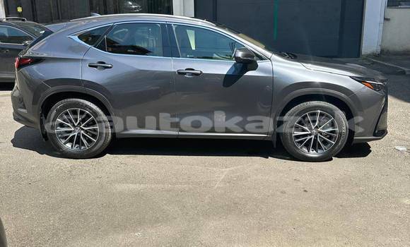Buy Used Lexus NX Silver Car in Georgiyev in Taraz Buy Used Lexus NX Silver Car in Georgiyev in Taraz