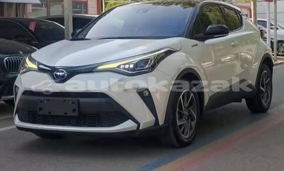 Buy Used Toyota C-HR White Car in Aktau in Karagandi