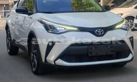 Buy Used Toyota C-HR White Car in Aktau in Karagandi Buy Used Toyota C-HR White Car in Aktau in Karagandi