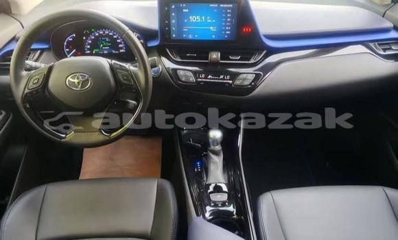 Buy Used Toyota C-HR White Car in Aktau in Karagandi Buy Used Toyota C-HR White Car in Aktau in Karagandi
