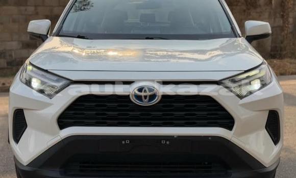 Buy Used Toyota RAV4 White Car in Aktau in Karagandi