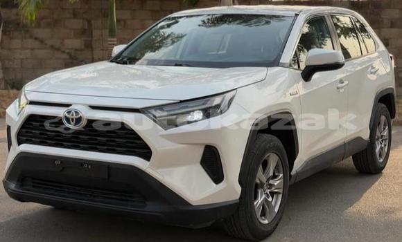 Buy Used Toyota RAV4 White Car in Aktau in Karagandi Buy Used Toyota RAV4 White Car in Aktau in Karagandi