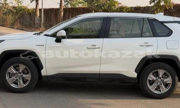 Buy Used Toyota RAV4 White Car in Aktau in Karagandi Buy Used Toyota RAV4 White Car in Aktau in Karagandi