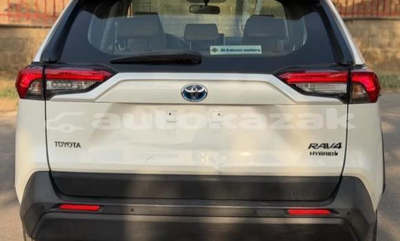 Buy Used Toyota RAV4 White Car in Aktau in Karagandi Buy Used Toyota RAV4 White Car in Aktau in Karagandi