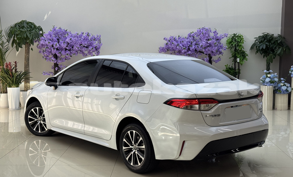 Buy Used Toyota Corolla White Car in Almati in Almati