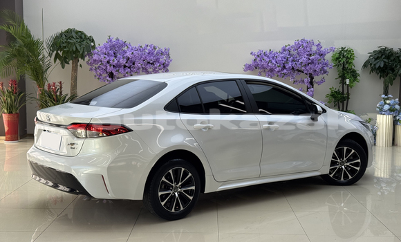 Buy Used Toyota Corolla White Car in Almaty in Almati Buy Used Toyota Corolla White Car in Almaty in Almati