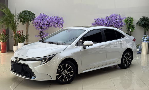 Buy Used Toyota Corolla White Car in Almaty in Almati Buy Used Toyota Corolla White Car in Almaty in Almati