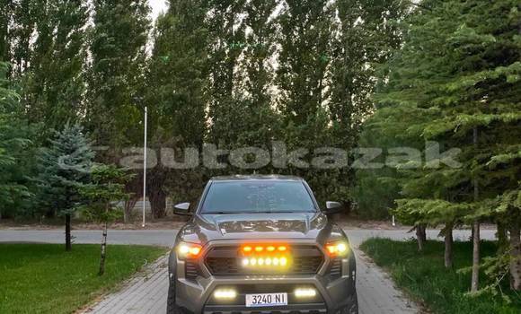 Buy Used Toyota Tacoma Brown Car in Georgiyev in Taraz