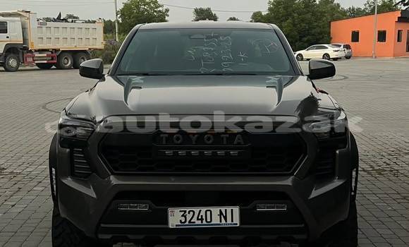 Buy Used Toyota Tacoma Brown Car in Georgiyev in Taraz Buy Used Toyota Tacoma Brown Car in Georgiyev in Taraz