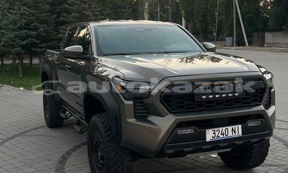 Buy Used Toyota Tacoma Brown Car in Georgiyev in Taraz Buy Used Toyota Tacoma Brown Car in Georgiyev in Taraz