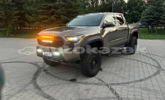 Buy Used Toyota Tacoma Brown Car in Georgiyev in Taraz Buy Used Toyota Tacoma Brown Car in Georgiyev in Taraz