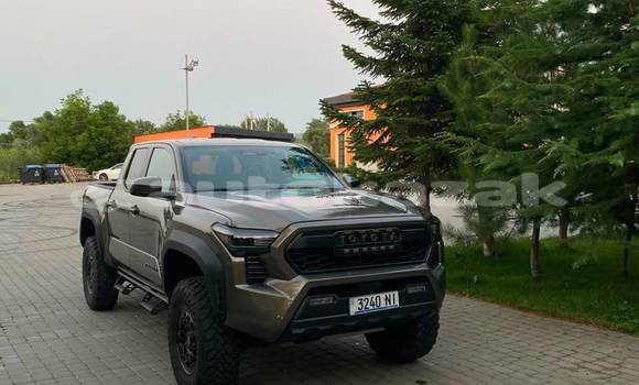 Buy Used Toyota Tacoma Brown Car in Georgiyev in Taraz Buy Used Toyota Tacoma Brown Car in Georgiyev in Taraz
