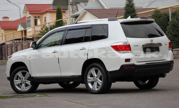 Buy Used Toyota Highlander White Car in Almaty in Almati