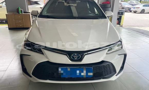 Buy Used Toyota Corolla White Car in Almaty in Almati