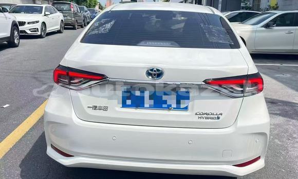 Buy Used Toyota Corolla White Car in Almaty in Almati Buy Used Toyota Corolla White Car in Almaty in Almati