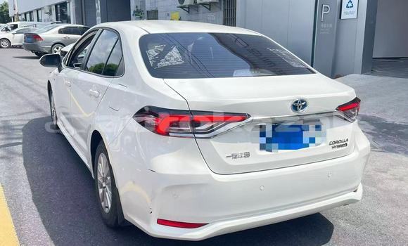 Buy Used Toyota Corolla White Car in Almaty in Almati Buy Used Toyota Corolla White Car in Almaty in Almati