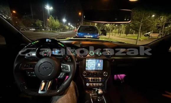 Buy Used Ford Mustang Green Car in Georgiyev in Taraz Buy Used Ford Mustang Green Car in Georgiyev in Taraz