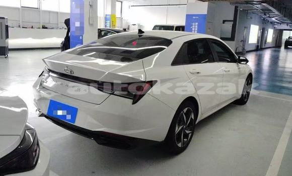 Buy Used Hyundai Elantra White Car in Almaty in Almati Buy Used Hyundai Elantra White Car in Almaty in Almati