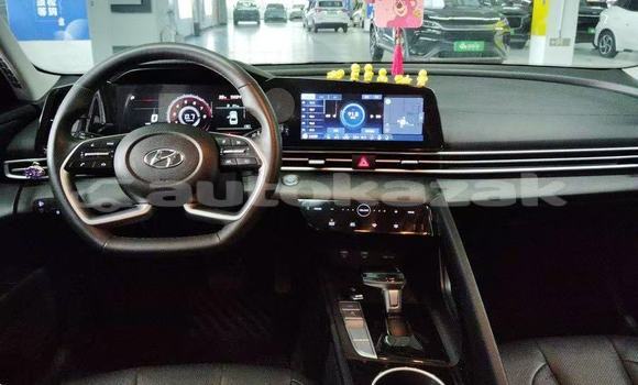 Buy Used Hyundai Elantra White Car in Almaty in Almati Buy Used Hyundai Elantra White Car in Almaty in Almati