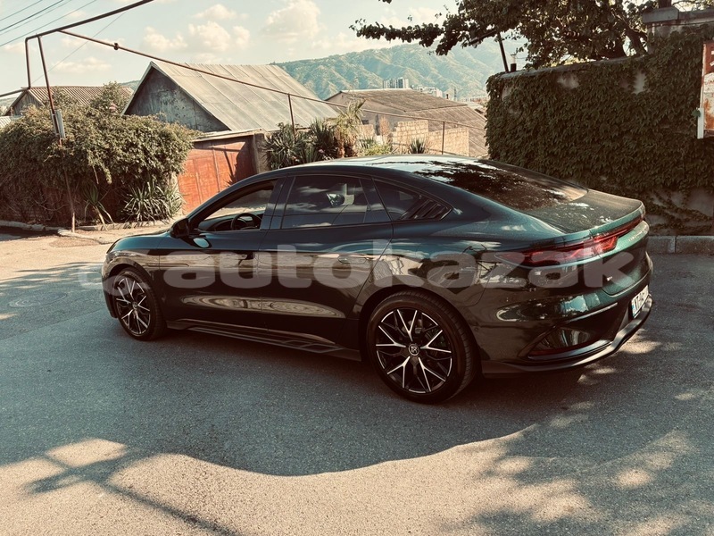 Big with watermark byd f5 taraz georgiyev 6365