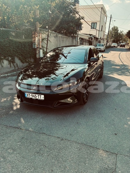 Big with watermark byd f5 taraz georgiyev 6366