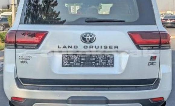 Buy Used Toyota Land Cruiser White Car in Aktau in Karagandi Buy Used Toyota Land Cruiser White Car in Aktau in Karagandi