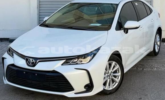 Buy Used Toyota Corolla White Car in Aktau in Karagandi