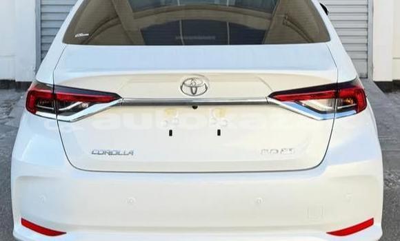 Buy Used Toyota Corolla White Car in Aktau in Karagandi Buy Used Toyota Corolla White Car in Aktau in Karagandi