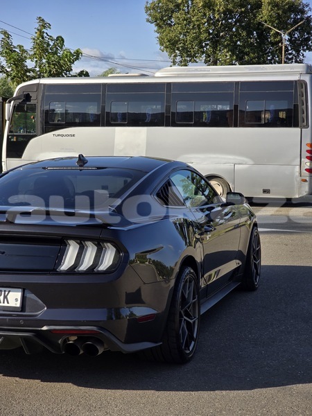 Big with watermark ford mustang taraz georgiyev 6386