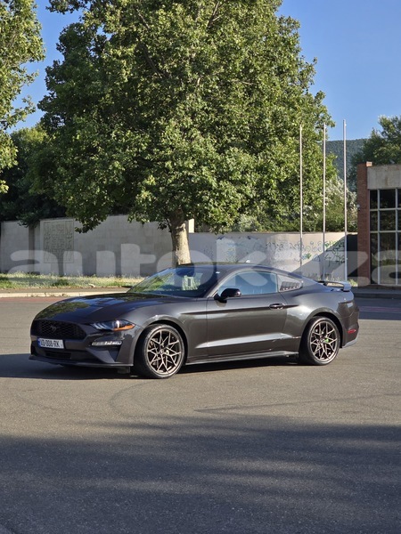 Big with watermark ford mustang taraz georgiyev 6386