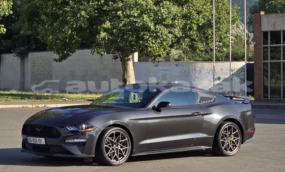 Buy Used Ford Mustang Black Car in Georgiyev in Taraz Buy Used Ford Mustang Black Car in Georgiyev in Taraz