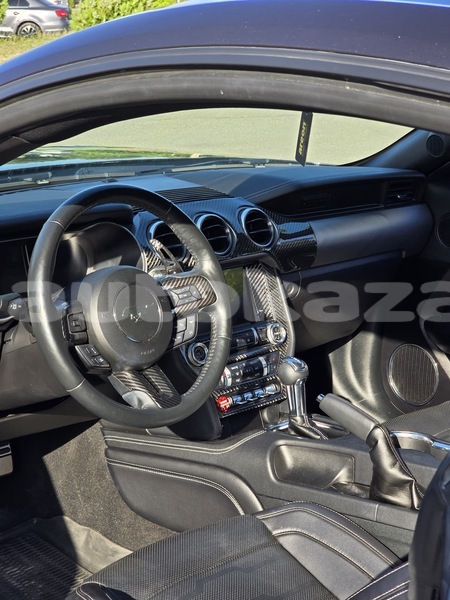 Big with watermark ford mustang taraz georgiyev 6386