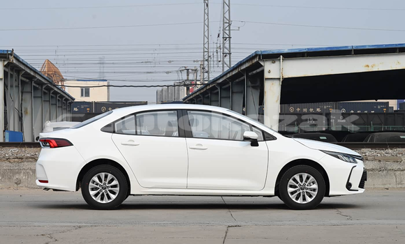 Buy New Toyota Corolla Beige Car in Almaty in Almati Buy New Toyota Corolla Beige Car in Almaty in Almati