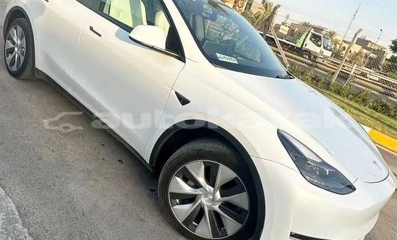 Buy Used Tesla Model X White Car in Aktau in Karagandi Buy Used Tesla Model X White Car in Aktau in Karagandi