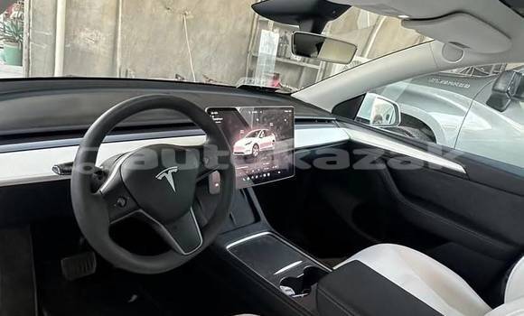 Buy Used Tesla Model X White Car in Aktau in Karagandi Buy Used Tesla Model X White Car in Aktau in Karagandi