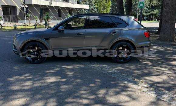 Buy Used Bentley Bentayga Silver Car in Georgiyev in Taraz Buy Used Bentley Bentayga Silver Car in Georgiyev in Taraz